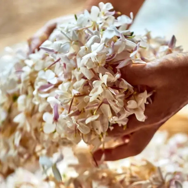 Dior J’adore Eau de Parfum 100ml