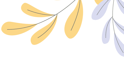 The best phone collection 2025