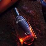 Dior Fahrenheit Eau de Toilette 100ml